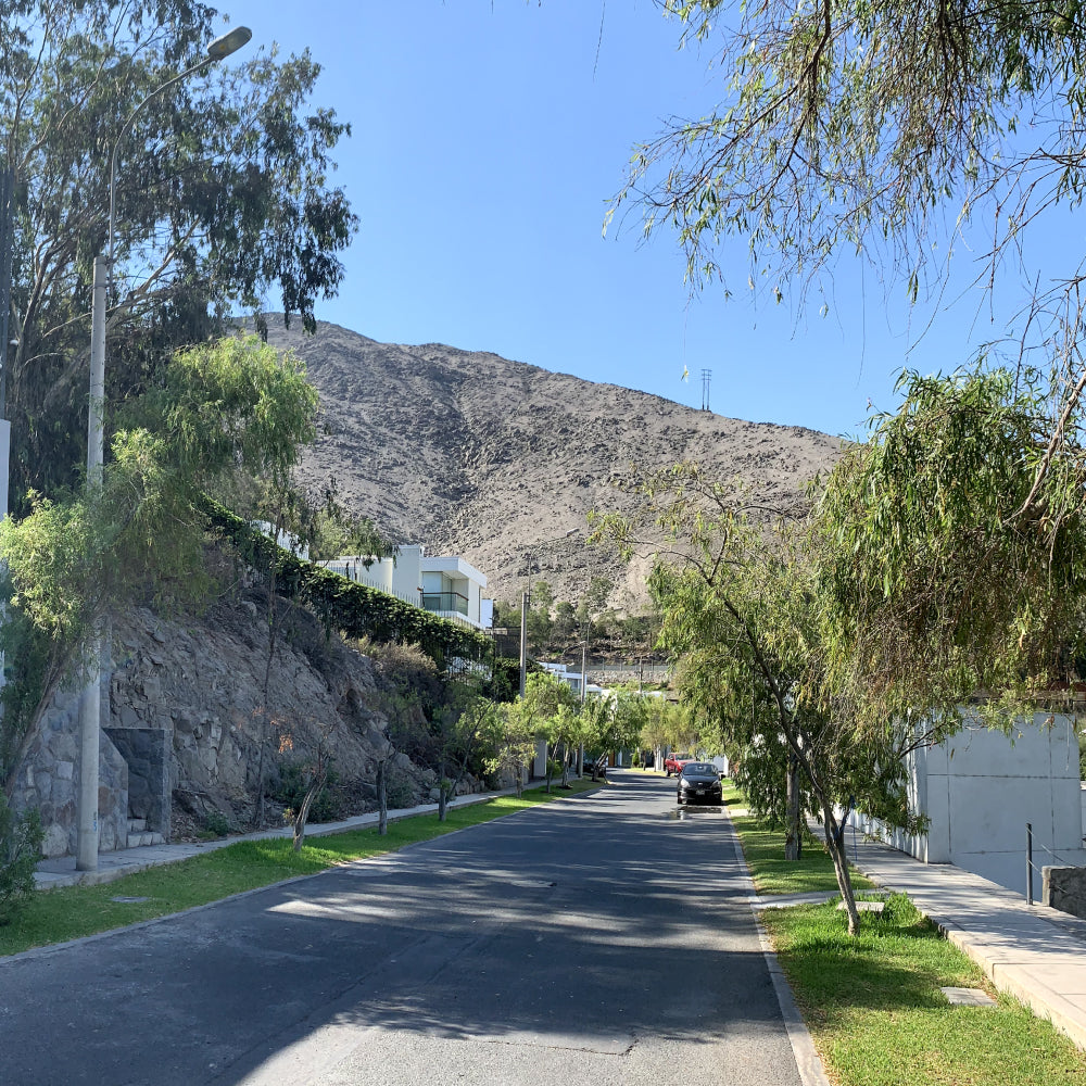 Lote 229 Mz. A de El Mirador La Planicie, separa tu lote con